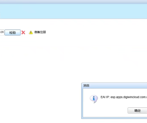 云地整合已经注册了，但是EAI IP没有自动更新上去。