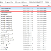 CROSSSTD_log.ldf 占了 174G，可以删掉吗？盘被占满了