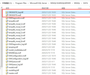 CROSSSTD_log.ldf 占了 174G，可以删掉吗？盘被占满了